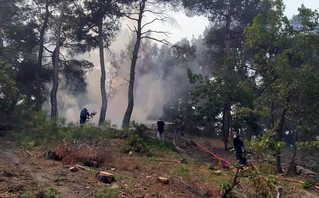 Φωτιά στο δάσος της Δαδιάς στον Έβρο