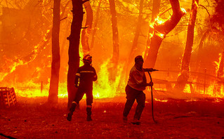 Φωτιά στη Λέσβο - Πυροσβέστες μέσα στις φλόγες