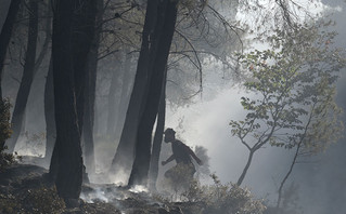 Φωτιά στο Πόρτο Γερμενό: Προσαγωγή υπόπτου για εμπρησμό &#8211; Βρέθηκε στο δάσος με εύφλεκτο υλικό