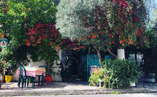 Ταβέρνα Τσομπανάκος Ταβέρνα Τσομπανάκος