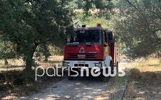 Πυρκαγιά στην Βάλμη Ηλείας