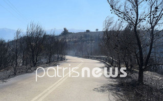 Πυρκαγιά στην Βάλμη Ηλείας