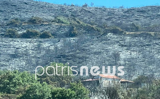 Πυρκαγιά στην Βάλμη Ηλείας