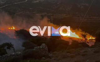 Φωτιά στην Εύβοια Φωτιά στην Εύβοια