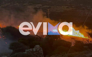 Φωτιά στην Εύβοια Φωτιά στην Εύβοια
