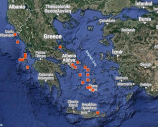 Καταγραφές Pelagia noctiluca για το τελευταίο δεκαήμερο (από 19 Αυγούστου μέχρι και 28 Αυγούστου) στην πλατφόρμα του iNaturalist.