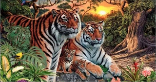 Οι τίγρεις που φαίνονται τέσσερις αλλά είναι τελικά… δεκαέξι