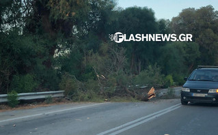 Κρήτη: Δέντρο ξεριζώθηκε και έπεσε σε όχημα στον ΒΟΑΚ