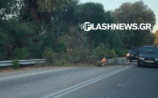 Δέντρο ξεριζώθηκε και έπεσε πάνω σε διερχόμενο όχημα στον ΒΟΑΚ Δέντρο ξεριζώθηκε και έπεσε πάνω σε διερχόμενο όχημα στον ΒΟΑΚ