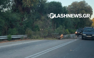 Δέντρο ξεριζώθηκε και έπεσε πάνω σε διερχόμενο όχημα στον ΒΟΑΚ