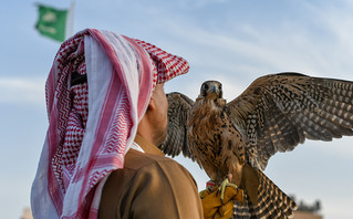 Γεράκια θα φιλοξενηθούν στην 86η ΔΕΘ ως φόρος τιμής στη Σαουδική Αραβία