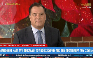 Γεωργιάδης: Το καλάθι του νοικοκυριού μειώθηκε κατά 14% από την πρώτη μέρα που ισχύει
