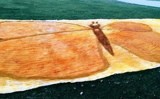 Ρεκόρ Γκίνες: Ζωγράφισε 84 τετραγωνικά μέτρα με μπαχαρικά
