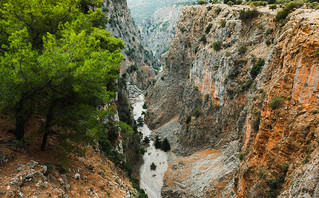 Αράδαινα, Χανιά Αράδαινα, Χανιά