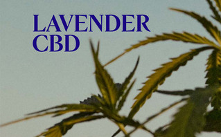 Ο οίκος L’OCCITANE EN PROVENCE παρουσιάζει τη συλλογή Lavender CBD