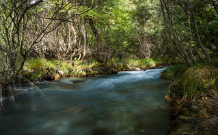Λούσιος ποταμός, Αρκαδία Λούσιος ποταμός, Αρκαδία
