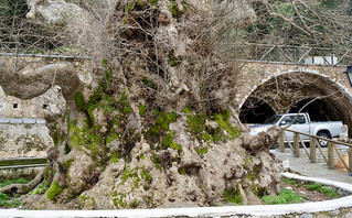 Κράσι, Ηράκλειο, Κρήτη