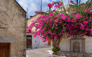 Κριτσά, Κρήτη