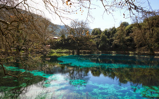 Πηγές Λούρου, Ιωάννινα