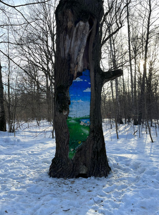 Ανέλπιστη τέχνη στον κορμό ενός δέντρου