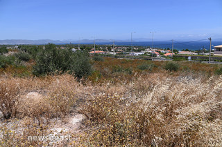 Μάτι Μάτι