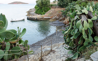 Τριζόνια Τριζόνια