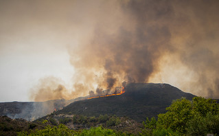 rodos