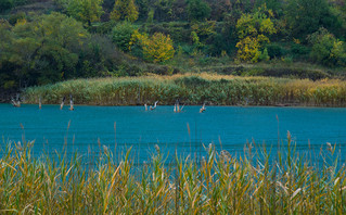 Λίμνη Τσιβλού: Το φυσικό τοπίο στην Αχαΐα που μοιάζει βγαλμένο από πίνακα ζωγραφικής