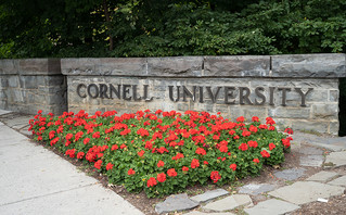 Cornell University