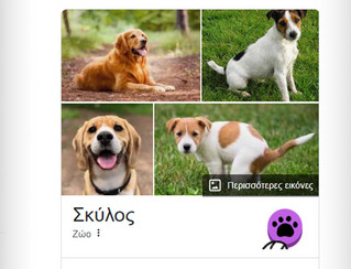 Το κόλπο αν πληκτρολογήσεις «σκύλος» στο Google