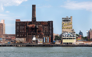 domino sugar1