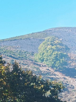 Φωτιά σε Ηράκλειο και Χανιά