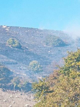 Φωτιά σε Ηράκλειο και Χανιά