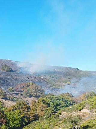 Φωτιά σε Ηράκλειο και Χανιά Φωτιά σε Ηράκλειο και Χανιά