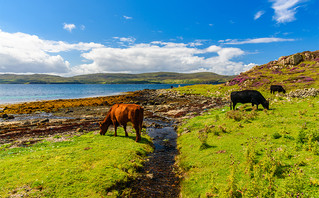 Portree, Σκωτία