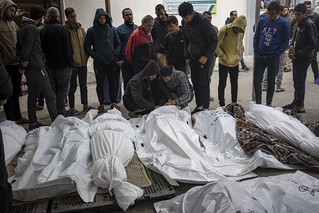 gaza bodies