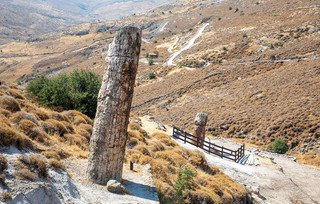 Απολιθωμένο δάσος της Λέσβου Απολιθωμένο δάσος της Λέσβου