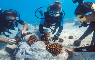 Thanda Island Hotel Thanda Island Hotel