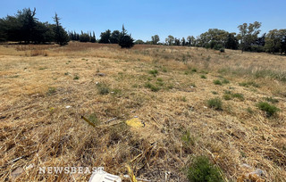 Γεμάτο με χόρτα και κλαδιά έκταση στην Κηφισιά που βρίσκεται μια ανάσα από το Άλσος Συγγρού