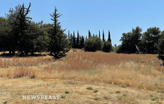 Γεμάτο με χόρτα και κλαδιά έκταση στην Κηφισιά που βρίσκεται μια ανάσα από το Άλσος Συγγρού