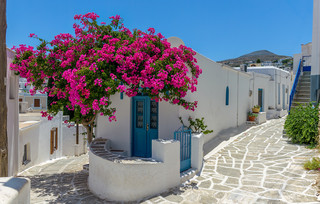 Λεύκες στην Πάρο Λεύκες στην Πάρο