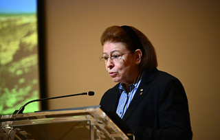Λίνα Μενδώνη