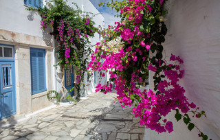 Τήνος Τήνος