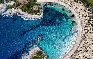Βοϊδοκοιλιά Βοϊδοκοιλιά