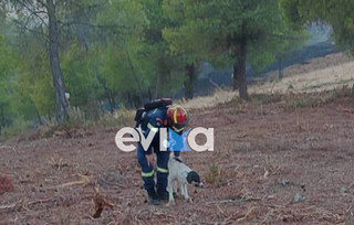 ευβοια ευβοια