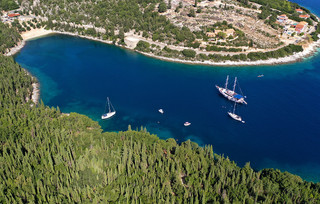 Φώκι Κεφαλονιά Φώκι Κεφαλονιά