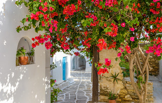 Πρόδρομος Πάρος
