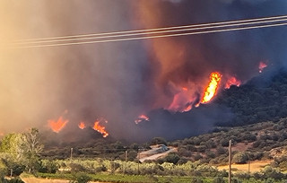 Μάχη με τις αναζωπυρώσεις στην Εύβοια Μάχη με τις αναζωπυρώσεις στην Εύβοια