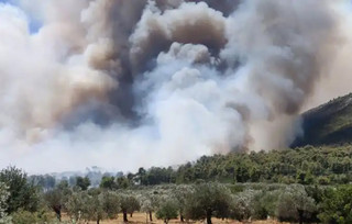 φλόγες στο Σοφικό Κορινθίας φλόγες στο Σοφικό Κορινθίας