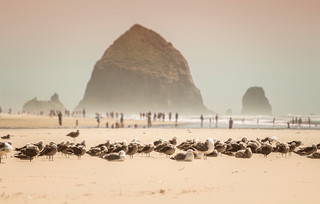 Cannon Beach Cannon Beach